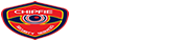 chipfie security
